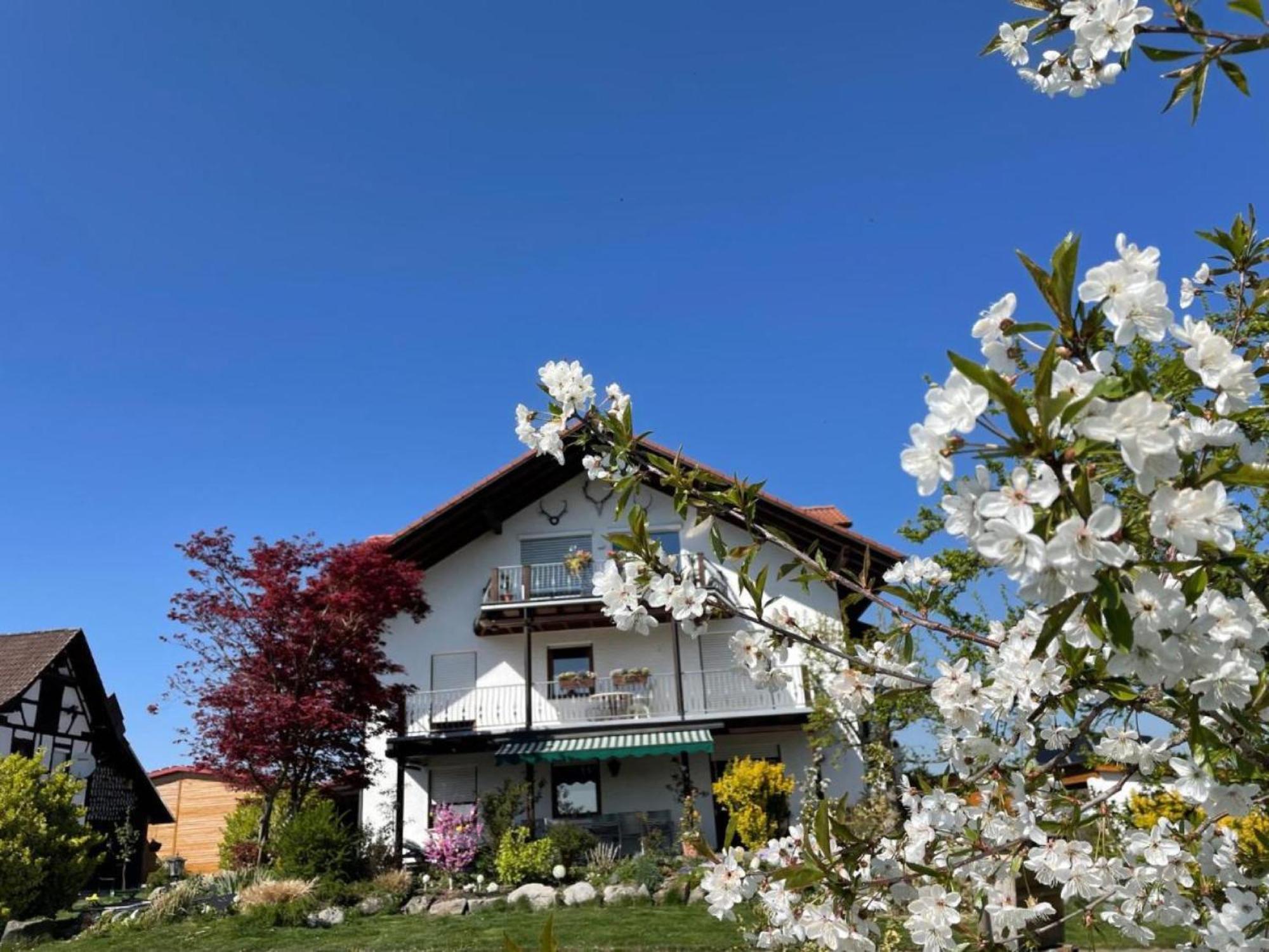 Bergchalet Mirabell - Hofgut Friedrichshafen Bagian luar foto