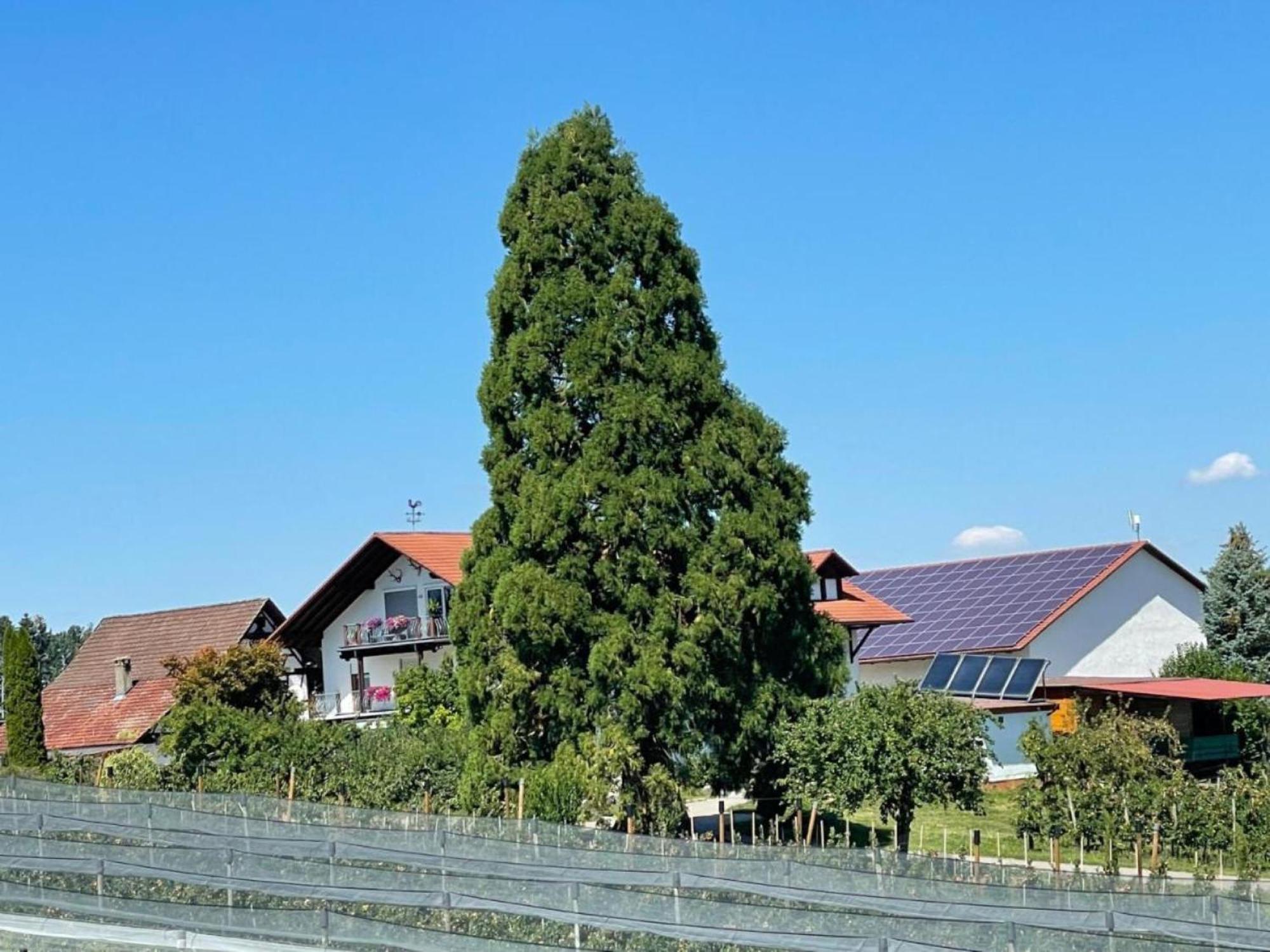 Bergchalet Mirabell - Hofgut Friedrichshafen Bagian luar foto