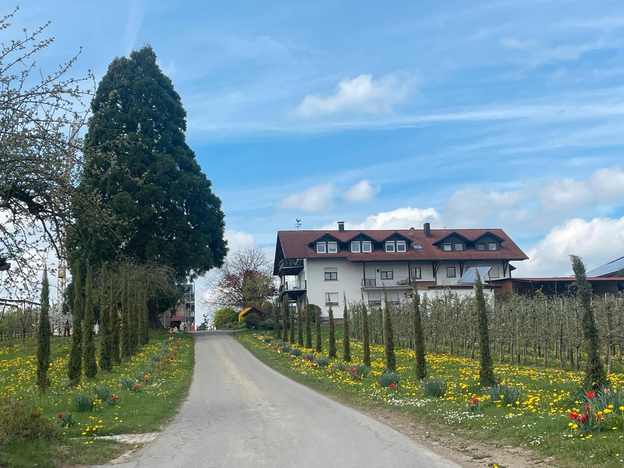 Bergchalet Mirabell - Hofgut Friedrichshafen Bagian luar foto